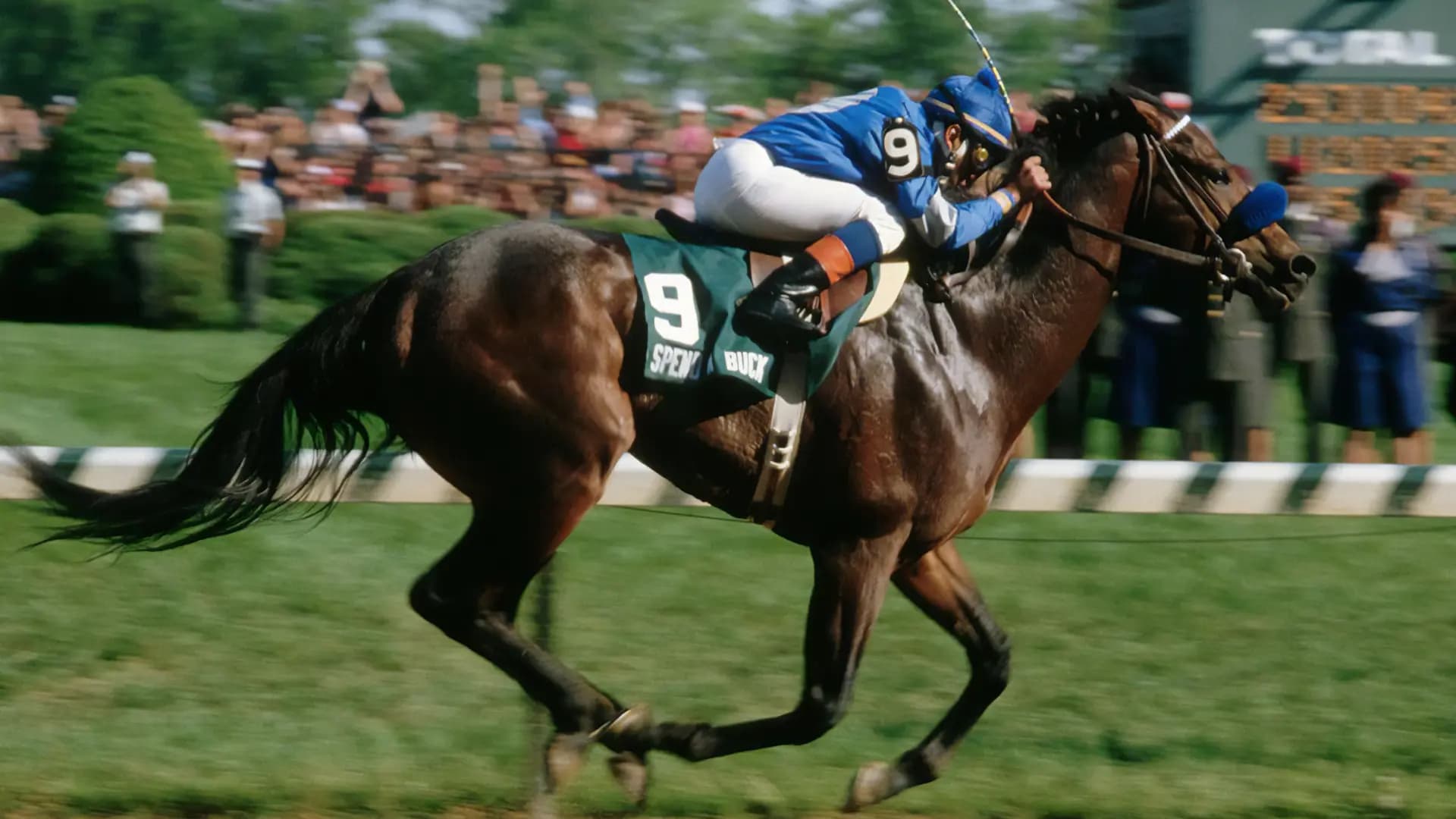 PREAKNESS STAKES ODDS AND PREVIEW