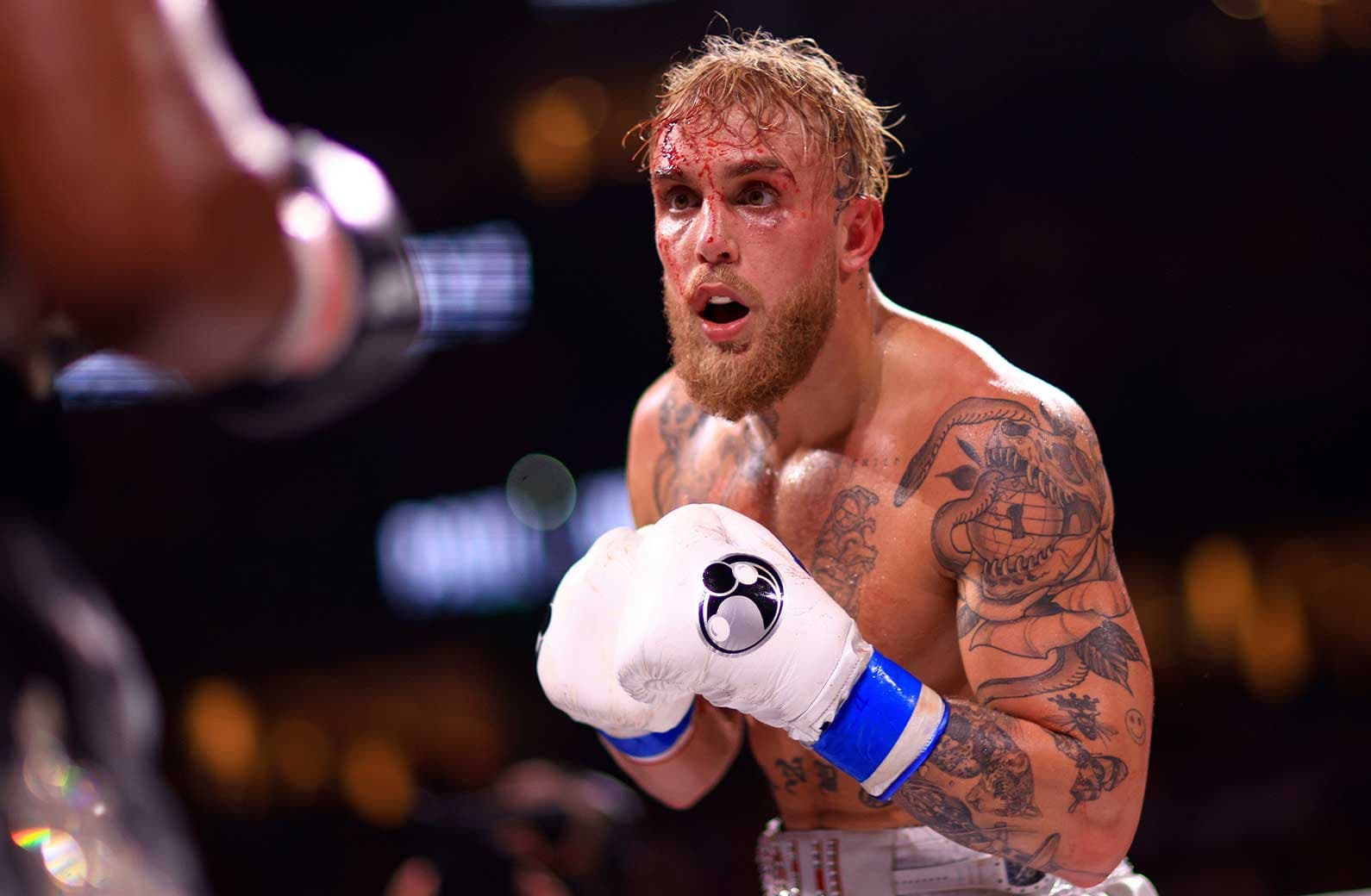 Jake Paul vs AJ Odds