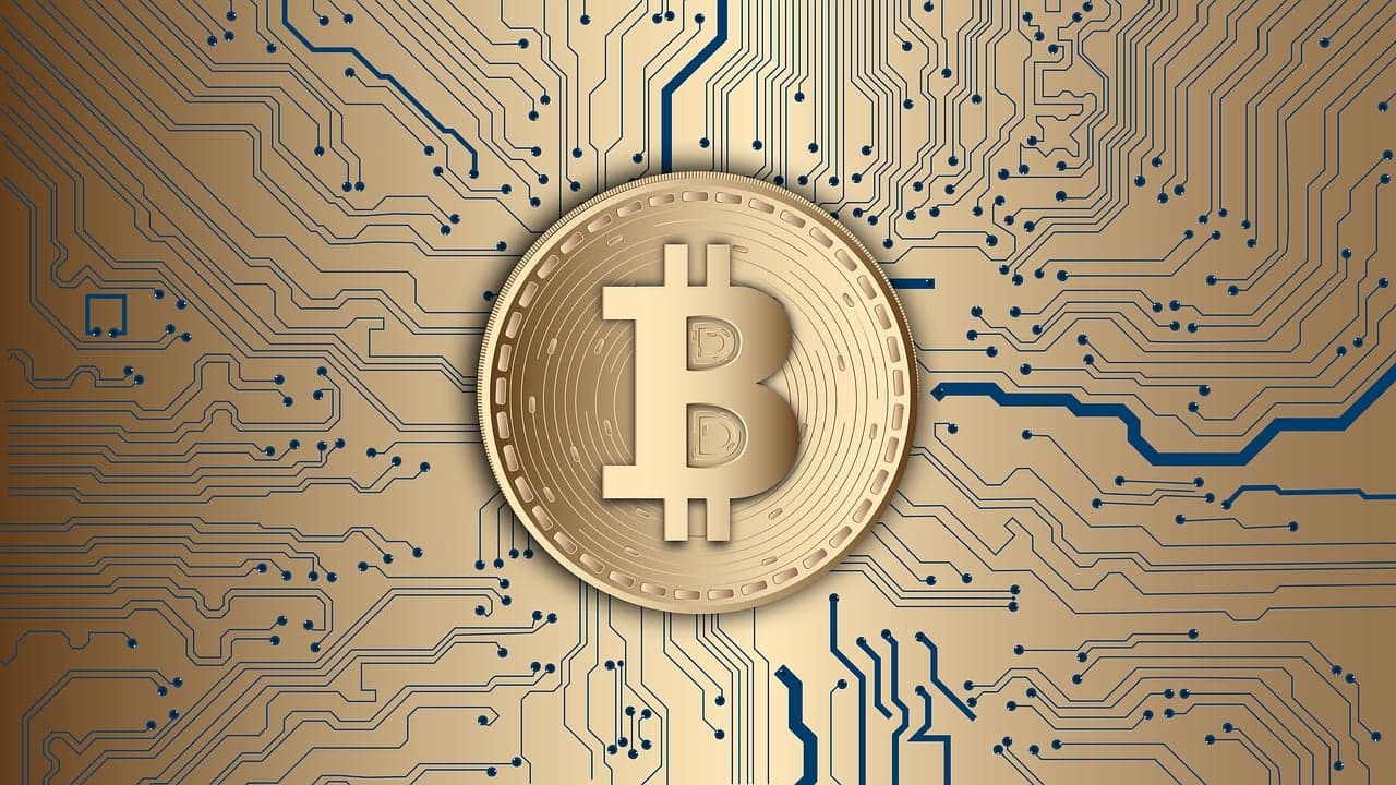 Exploring the Impact of Bitcoin Price Movements on Crypto Prices | Cryptolunae