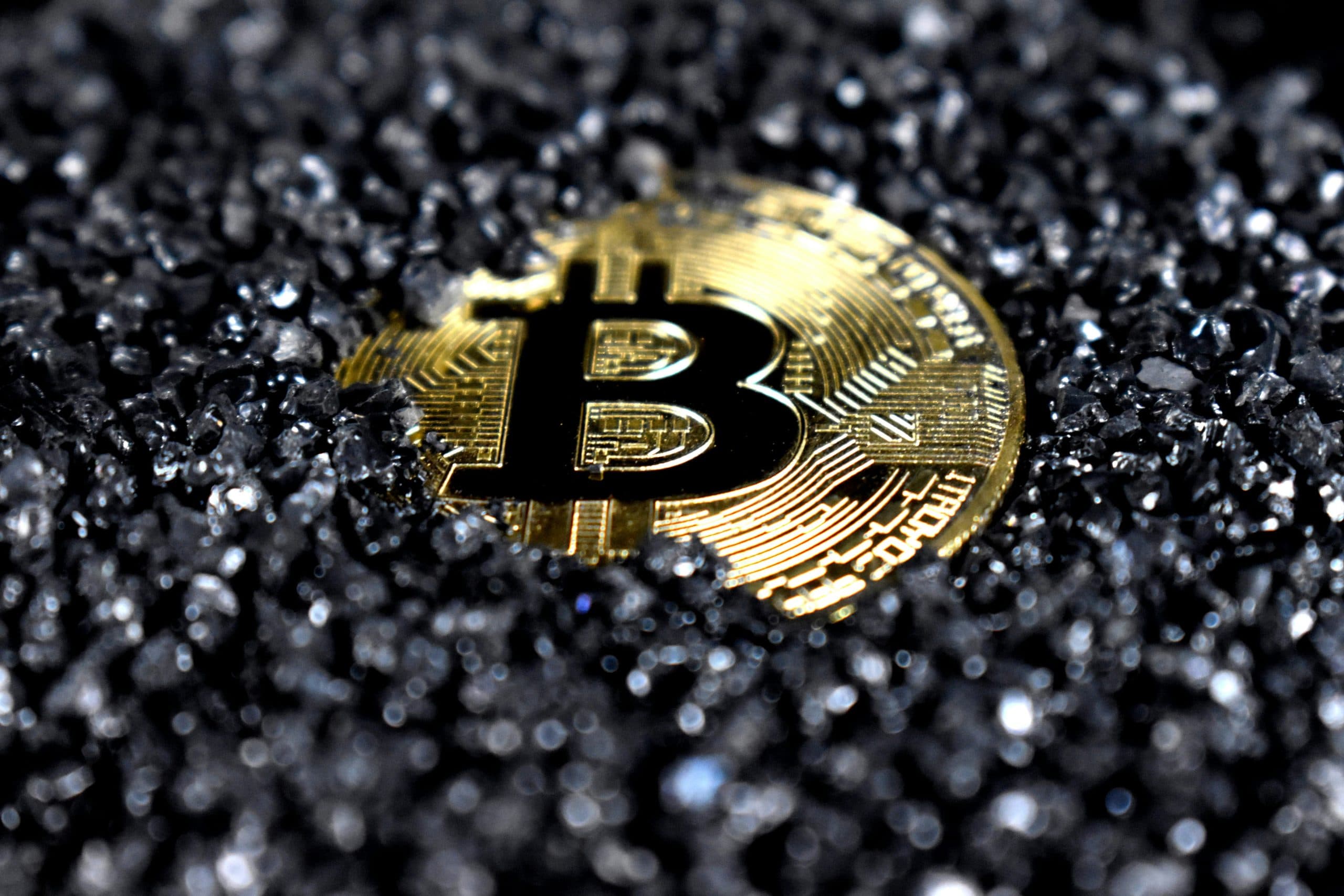 Where Is The Crypto Market Headed In Q4 of 2024?