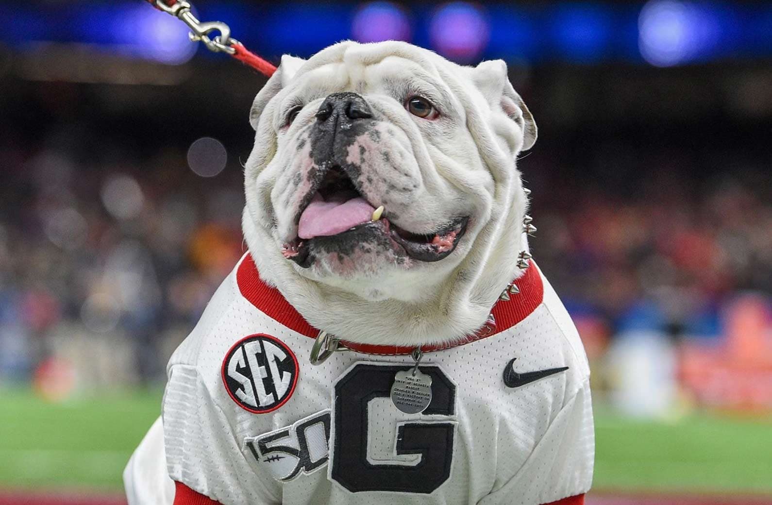 NCAAF Crypto Betting